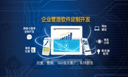 Erp软件开发的发展现状-北京软件开发公司锐智互动